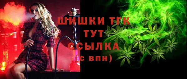 ГАЛЛЮЦИНОГЕННЫЕ ГРИБЫ Корсаков