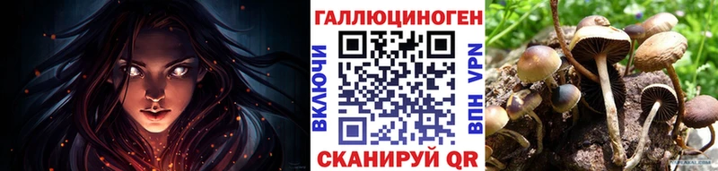 Купить где  Белозерск  Псилоцибиновые грибы Psilocybe 